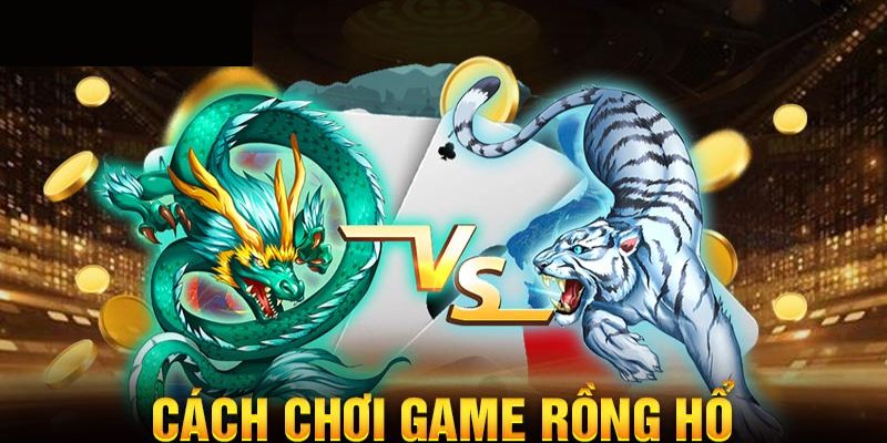 Thủ thuật Rồng Hổ trực tuyến thắng lớn Thủ thuật Rồng Hổ trực tuyến thắng lớn